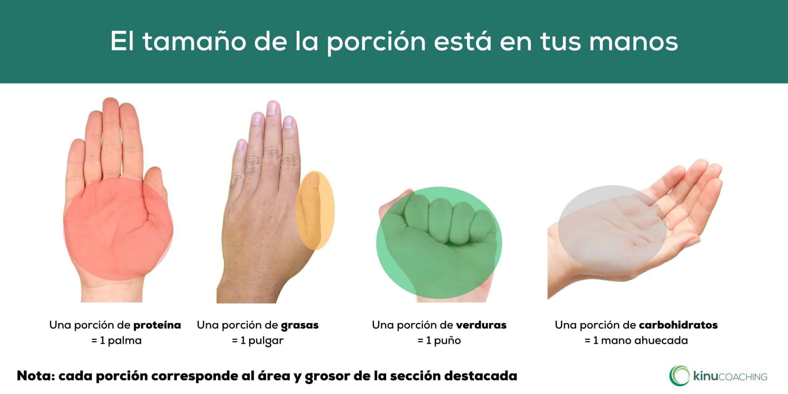 Calculadora Tus Manos, tu porción 1